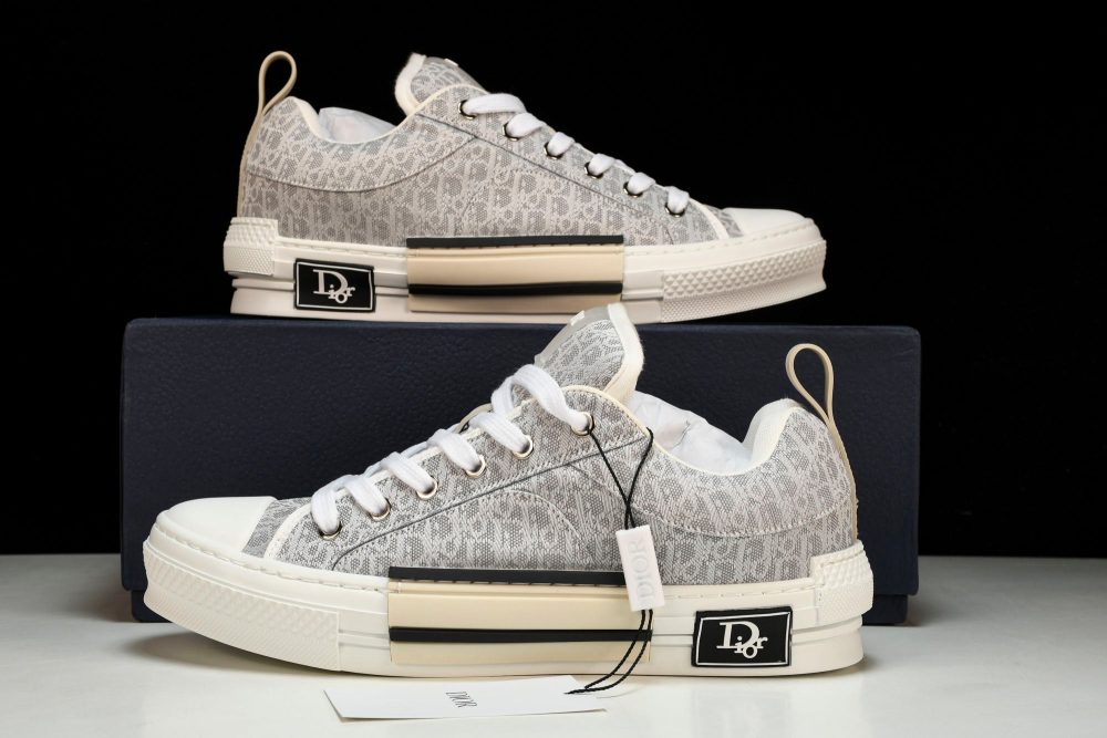 D1or B23 Skater Low 'Oblique' - Image 23
