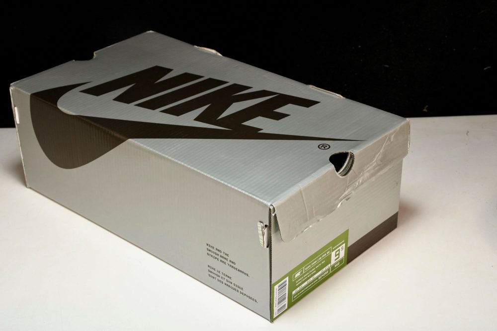 SB Dnk Low x Hnkn - Image 33
